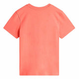 V8H8F65691775D1973436DF76AE50AA3D16R6632885P2