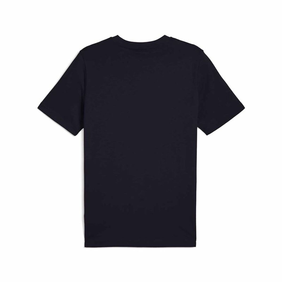 V5HB8765597CC3AFCB6E0E2BA94F1537A23R6162088P2